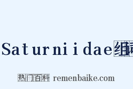 Saturniidae组词是什么意思的图片